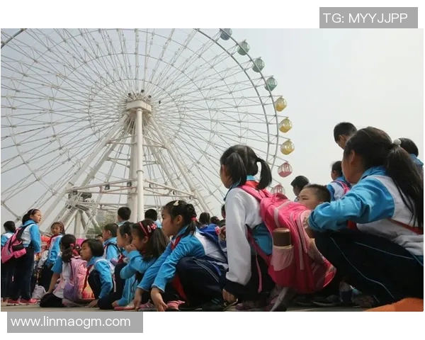 90vs指当确的背后故事与启示探讨